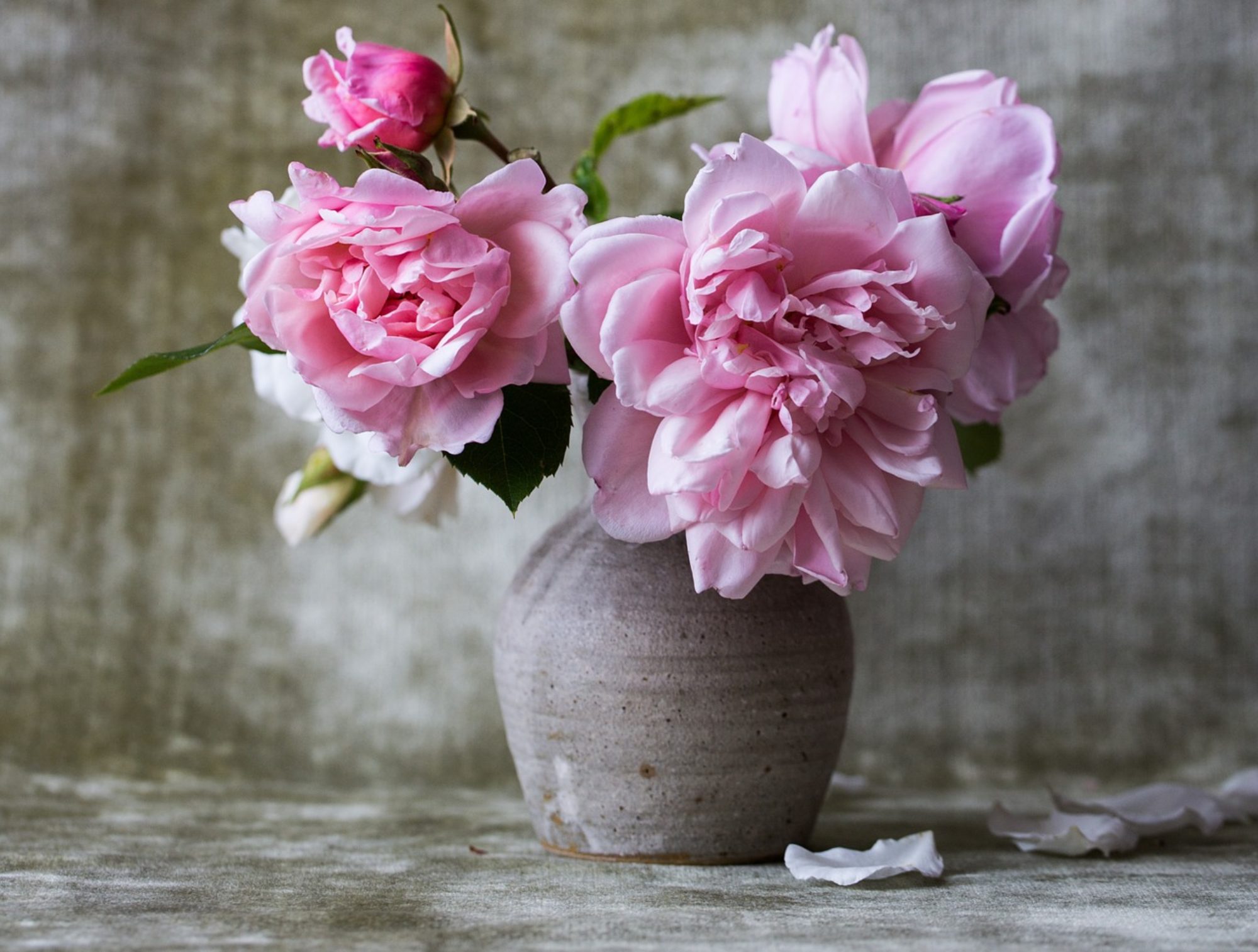 Blumenbinderei - Frei Karin